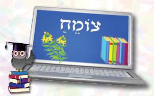 צומח