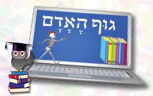 גוף-האדם